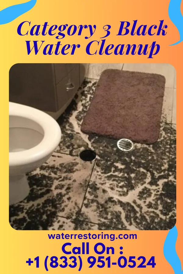 Category 3 Black Water Cleanup in Irving, IL