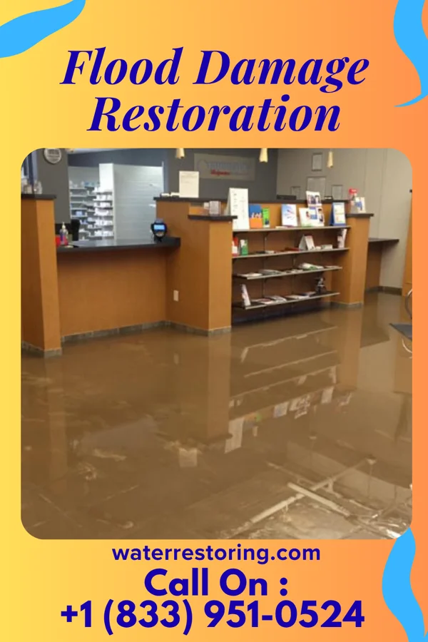 Flood Damage Restoration in Irving, IL