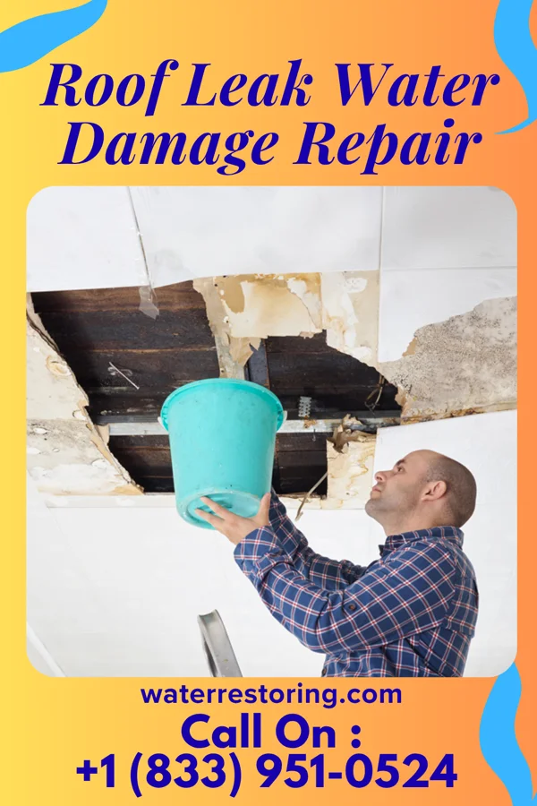 Roof Leak Water Damage Repair in Irving, IL