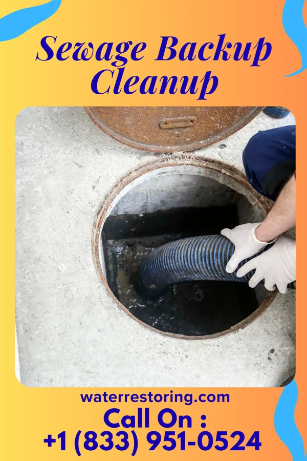 Sewage Backup Cleanup in Irving, IL