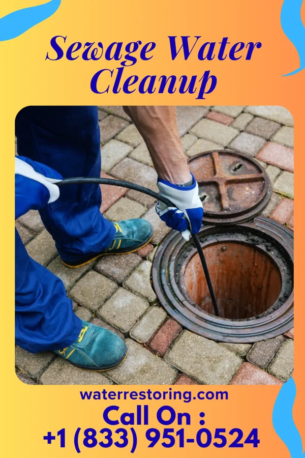 Sewage Water Cleanup in Irving, IL